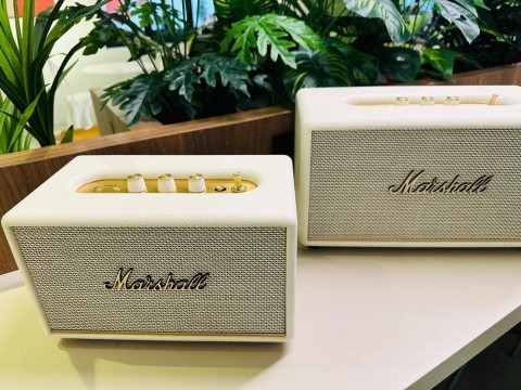 Marshall Acton III - Cream (New)