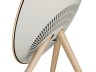Loa B&O Beosound A9 MK5 Gold Tone (New) - 5