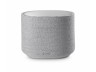 Harman Kardon Citation Sub - Grey (New) - 5
